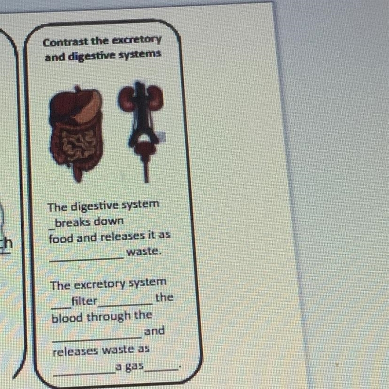 Contrast the excretory and digestive systems The digestive system breaks down food-example-1