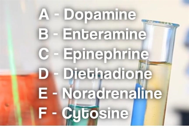 Which of these are decipted?​-example-1