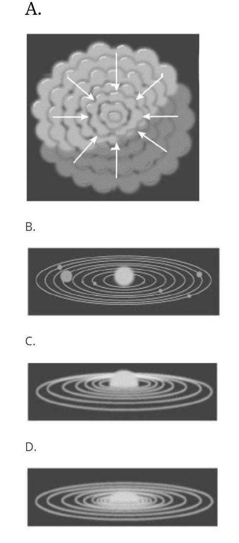 Which diagram best illustrates the stage in the formation of the solar system at which-example-1