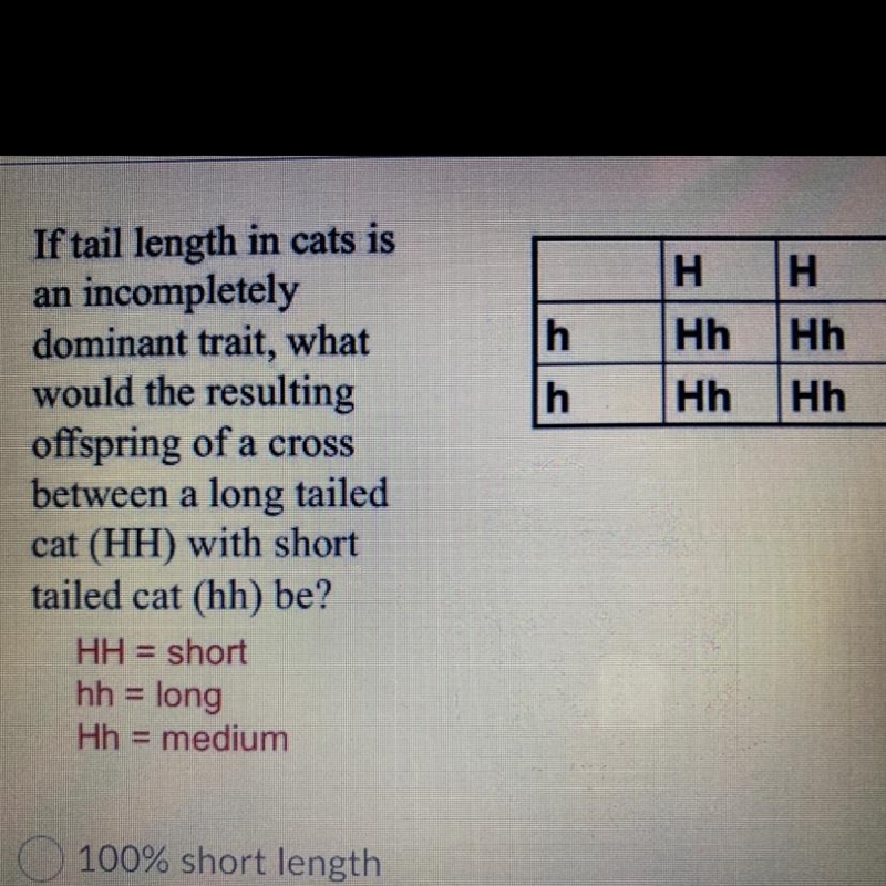 100% short length 100% medium length 100% long length 50% long , 50% short-example-1