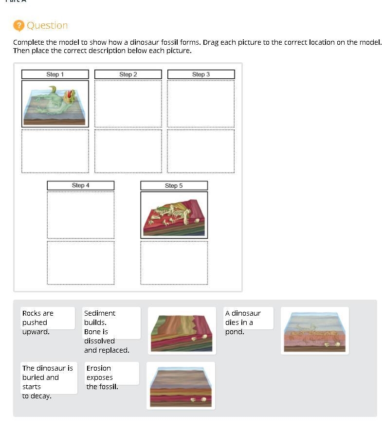 Complete the model to show how a dinosaur fossil forms. Drag each picture to the correct-example-1