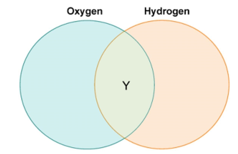 Carla drew a diagram to compare the roles of oxygen and hydrogen in photosynthesis-example-1