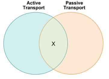 Jen makes a Venn diagram to compare active transport and passive transport. Which-example-1