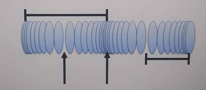 The diagram below shows a longitudinal wave at one instant in its motion. Each oval-example-1