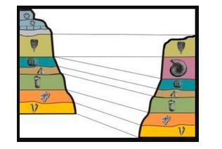 HELP!!!! Please choose the correct label for this diagram A. Fossil Correlation B-example-1