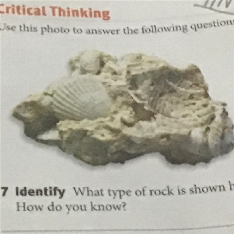 What type of rock is show here? How do you know?-example-1