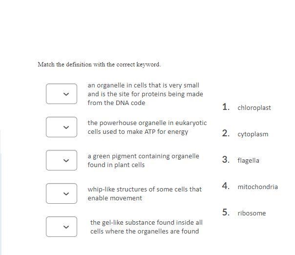 40 Points!!! Match the correct definition with the correct keyword.-example-1