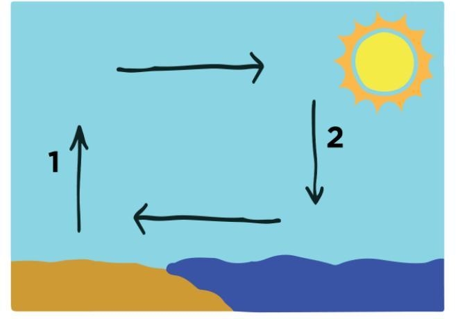 How should Point 1 on the Sea Breeze diagram be labeled? (look at the picture) a Cool-example-1