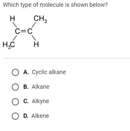 Which type of molecule is shown below?-example-1