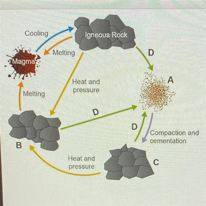 Using the drop-down menus, label the parts of the rock cycle. A~ B~ C~ D~-example-1