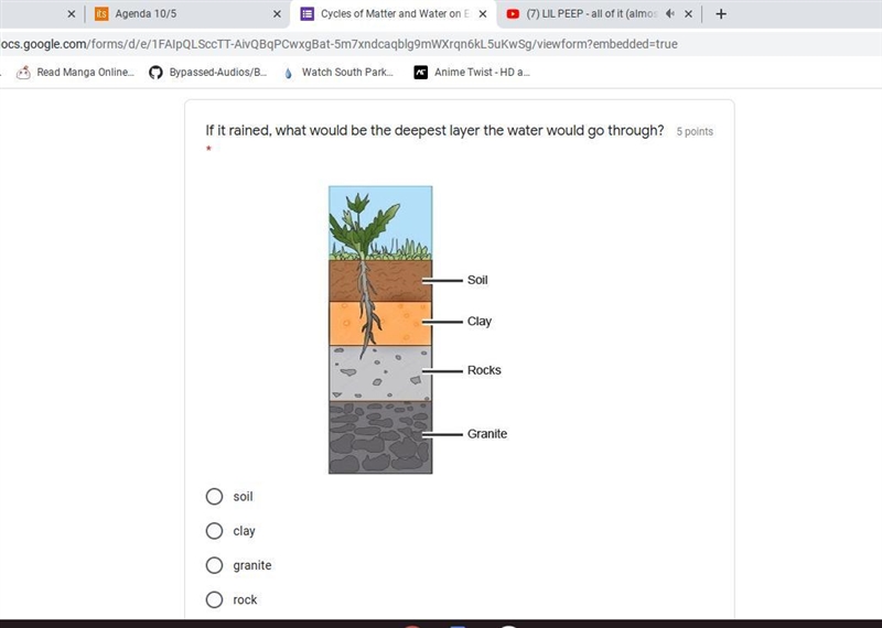 If it rained, what would be the deepest layer the water would go through?-example-1