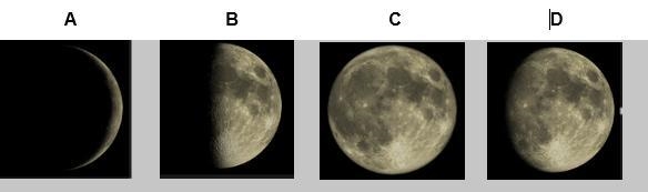 You are given a model of various phases of the moon, as shown below. You can tell-example-1