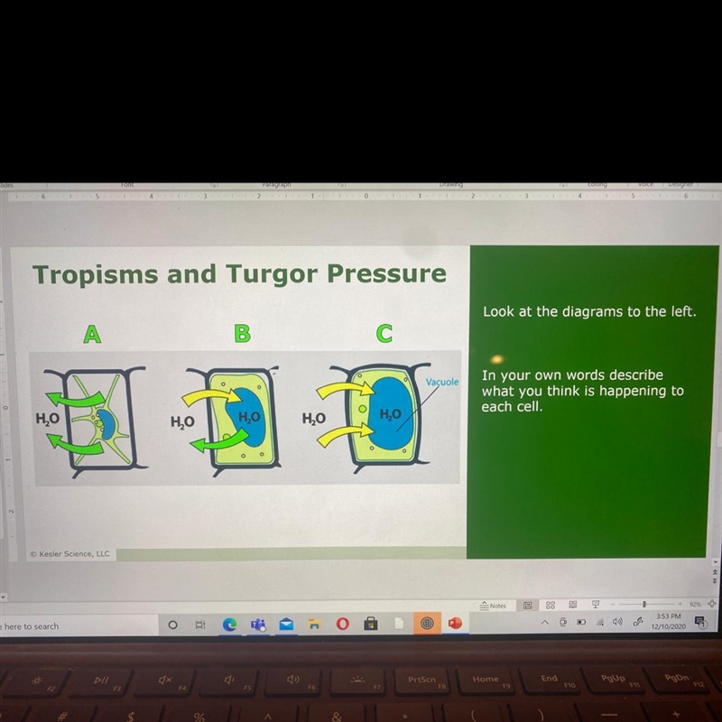 Please help with this-example-1