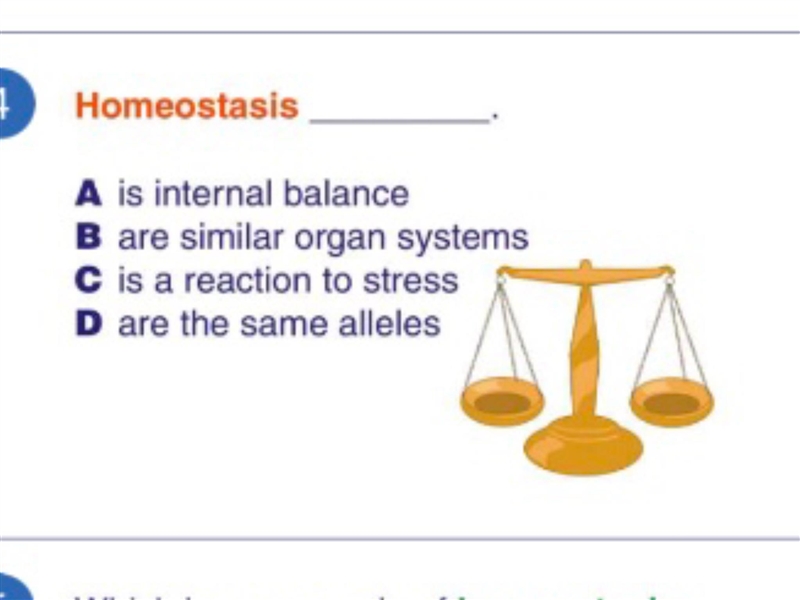 50 points guys please help me!!!!!!-example-1