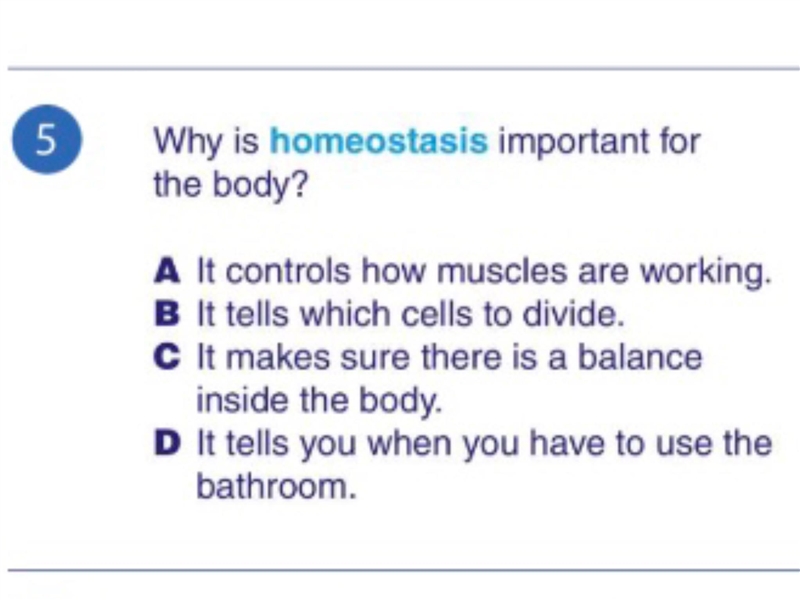 Please help! I really don’t understand it-example-1