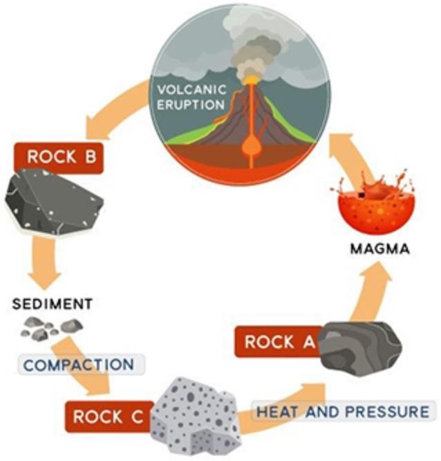 The diagram below shows part of the rock cycle. (4 points) Rock cycle with a volcanic-example-1