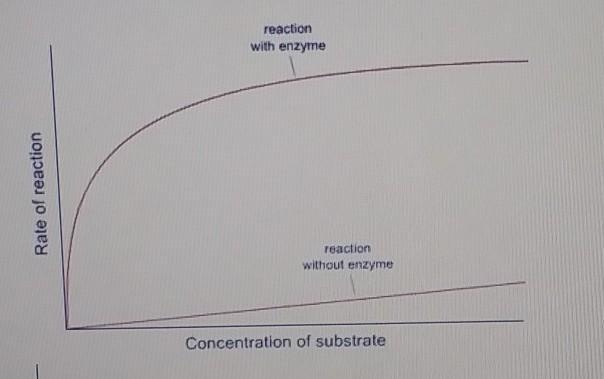 3.) this graph shows the rates of reaction in a chemical reaction with and without-example-1