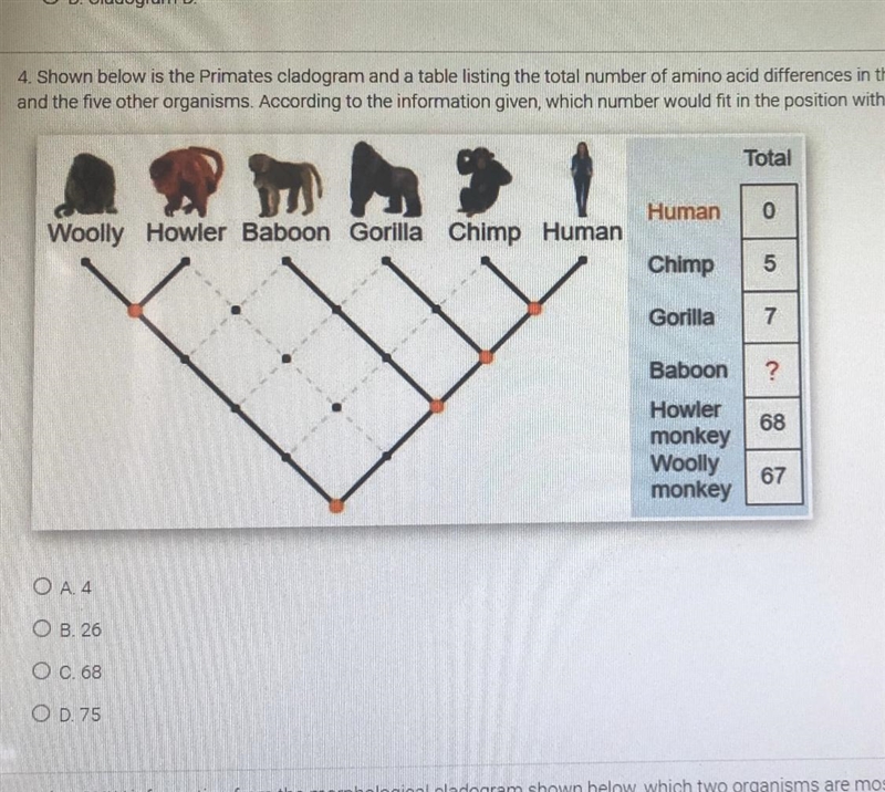 Shown below is the Primates cladogram and a table listing the total number of amino-example-1