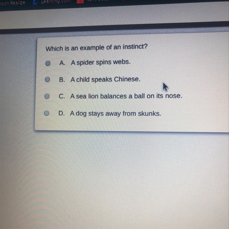 Which is an example of an instinct? A spider spins web A child speaks Chinese. A sea-example-1