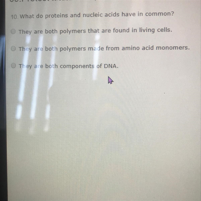 What do proteins and nucleus acids have in common-example-1