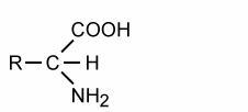 Examine the general structure of a molecule. Which functional groups are in this molecule-example-1