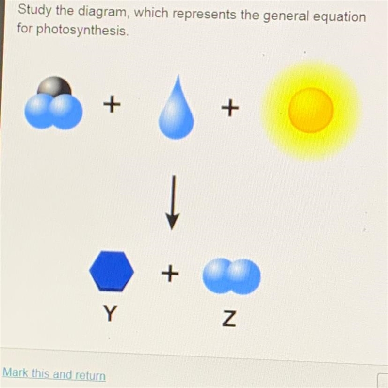 Study the diagram, which represents the general equation for photosynthesis, What-example-1