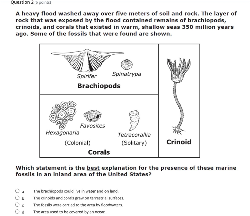 Can you please help. I don't know how to do it.-example-1