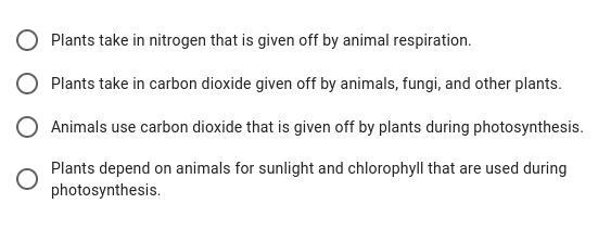 Which of the following is correct about how plants relate to animals in the Earth-example-1