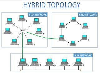 A ________ topology uses more than one type of topology when building a network. crossover-example-1