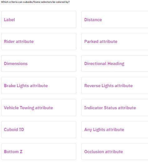 Which criteria can cuboids/frame selectors be coloured by​-example-1