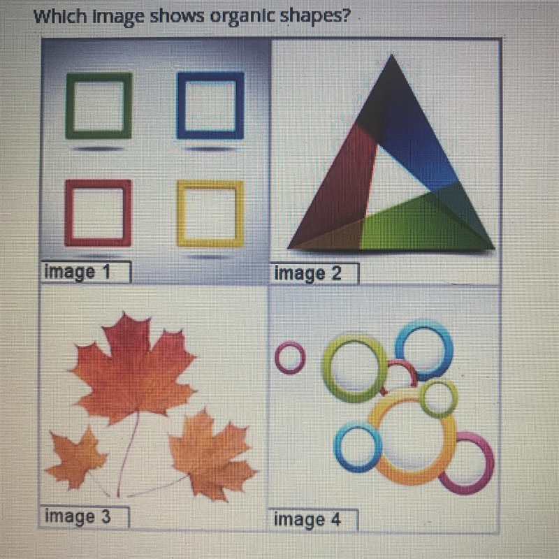 Which image shows organic shapes? A. image 1 B. image 2 C. image 3 D. image 4-example-1