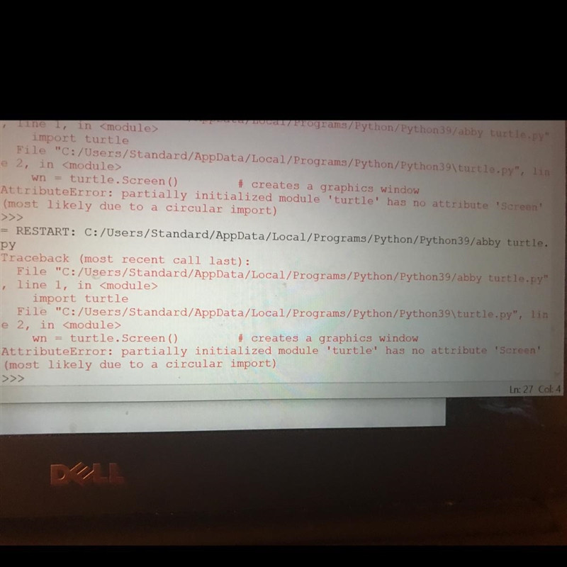 I want to get an output picture in python but it says this. I'm using turtle-example-1