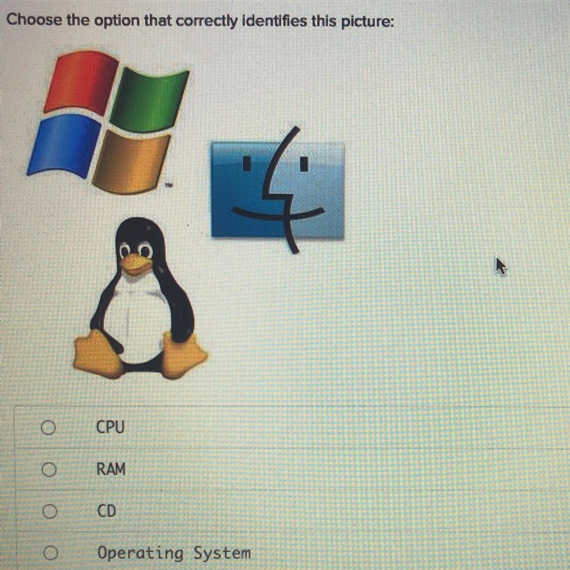 Is this picture the CPU, RAM, CD, or Operating System-example-1
