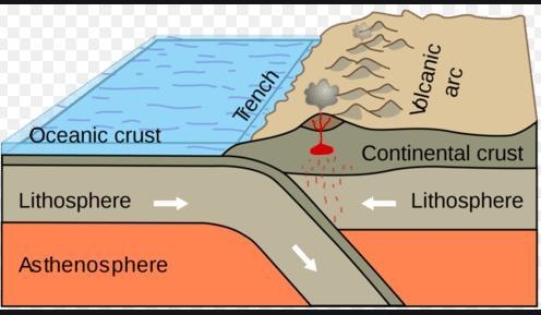 What happens to the oceanic crust inbetween when the two continents meet?​-example-1