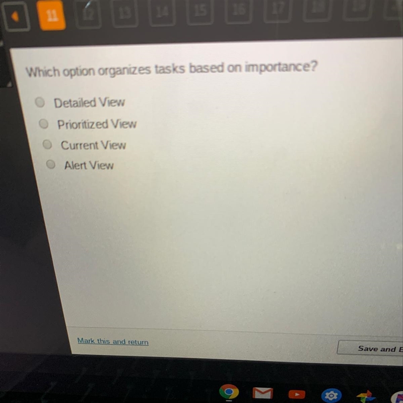 Which option organizes tasks based on importance? Detailed View Prioritized View Current-example-1