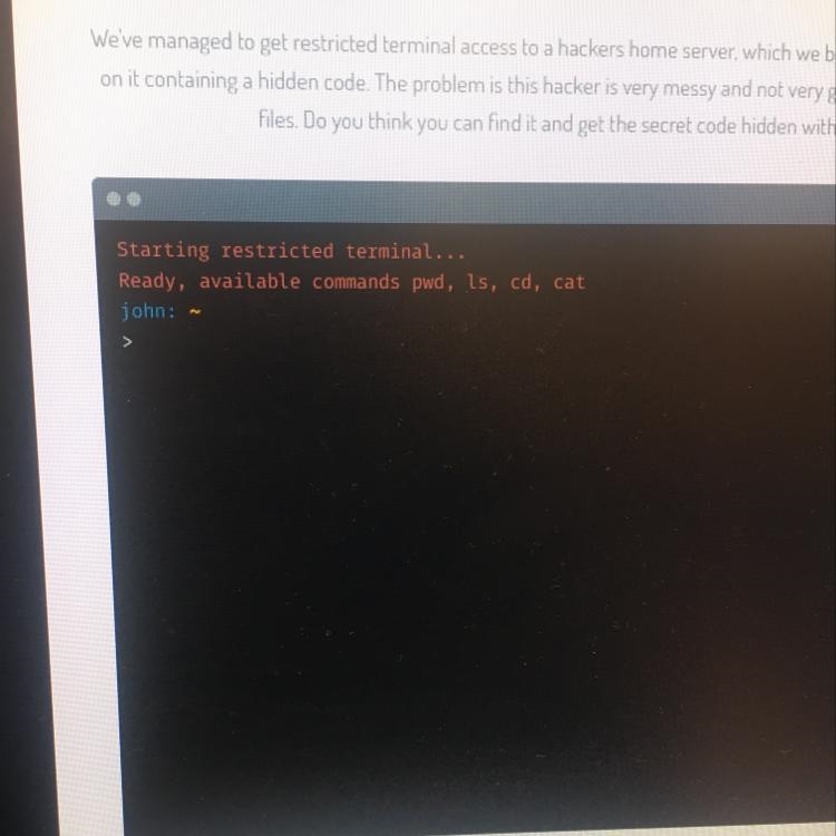 We've managed to get restricted terminal access to a hackers home server which we-example-1