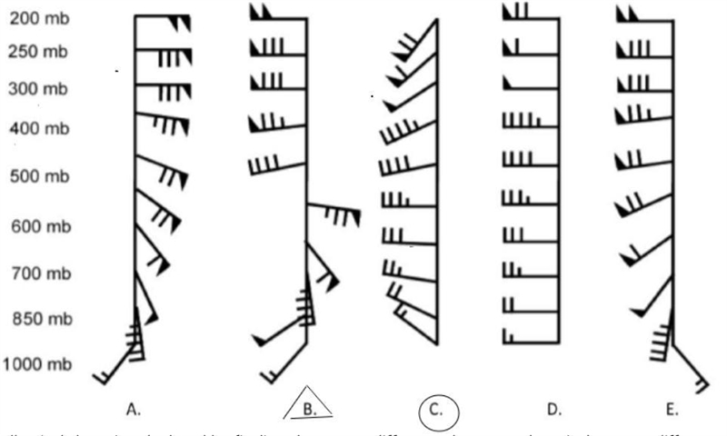 Bulk wind shear is calculated by finding the vector difference between the winds at-example-1