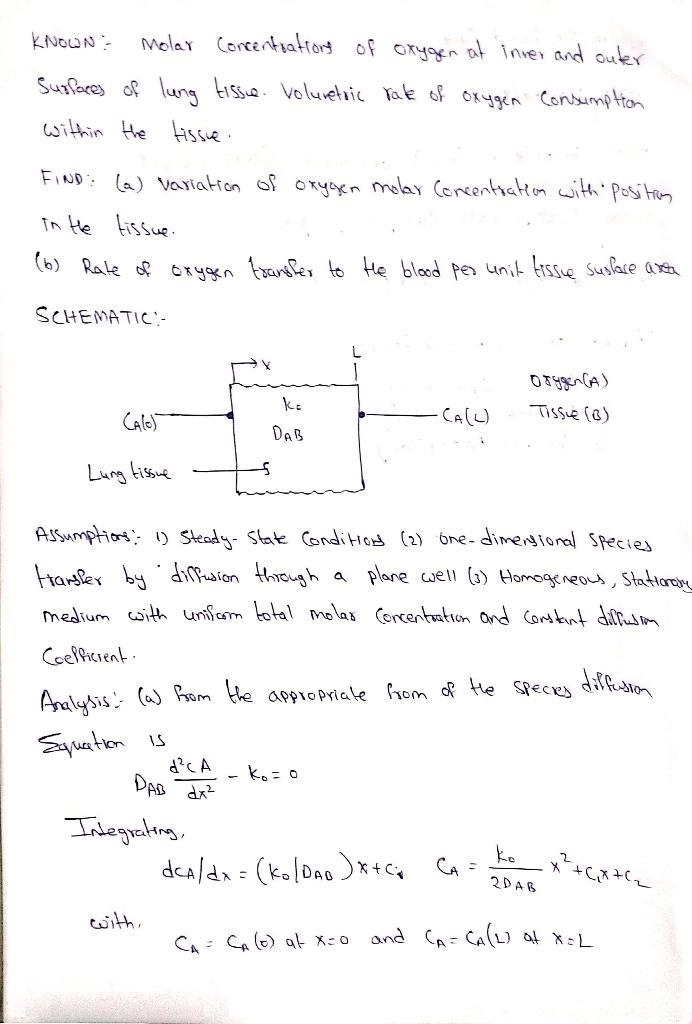 Consider the problem of oxygen transfer from the interior lung cavity, across the-example-1