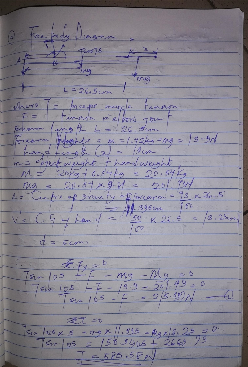 You are to assess the biomechanics of a male’s arm using his bicep to hold a 20 kg-example-1