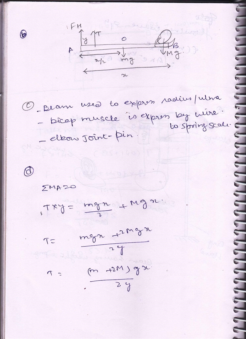 Your task is to design and build an apparatus that replicates the lower arm and biceps-example-2