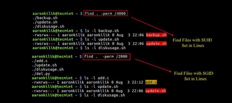 You want to find all files on your server that have either the SGID or SUID permission-example-1