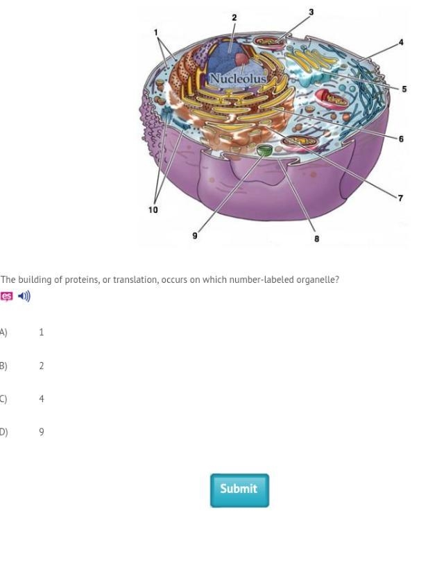 Pls help I will mark brainlesst-example-1