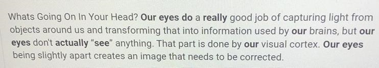 The human eye sees objects in true size and true shape. A. All the above B. True C-example-1