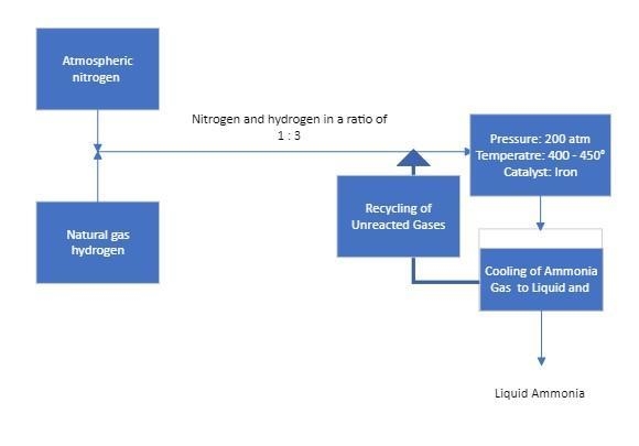 The process _______ boosted the production of fertilizers and strengthened the agriculture-example-1