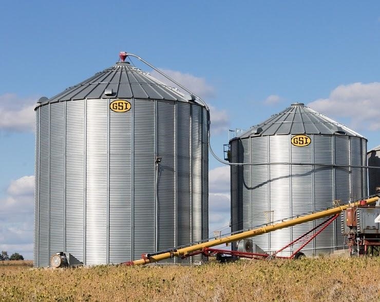 storage silos can be used to store grains.The silos are 15'wide.The larger silo is-example-1