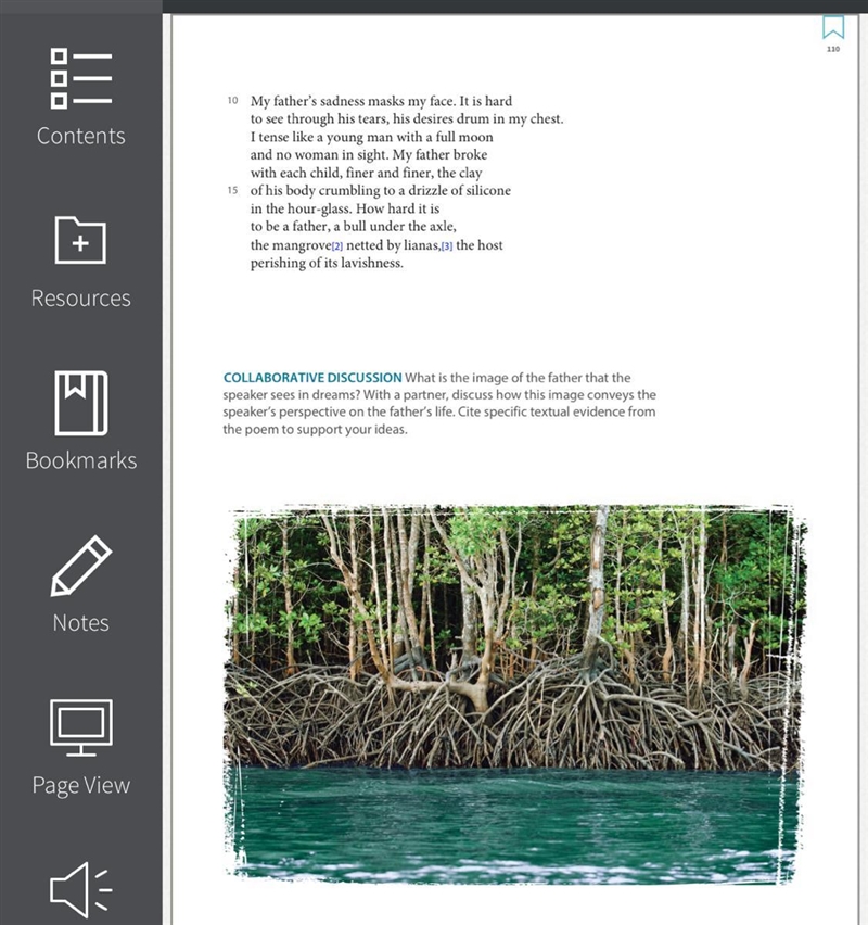 Analyze Explain how the metaphor in lines 13-16 contributes to the theme of the poem-example-1