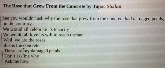 Can someone help me with this? Who is the rose in this poem? And what do u think he-example-1