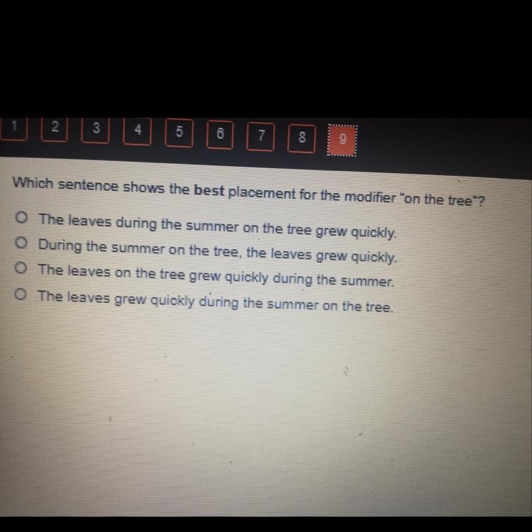 Which sentence shows the best placement for the modifier "on the tree"? The-example-1