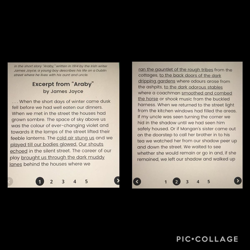 Review the underlined phrases in the first paragraph of the passage, on pages 1 and-example-1