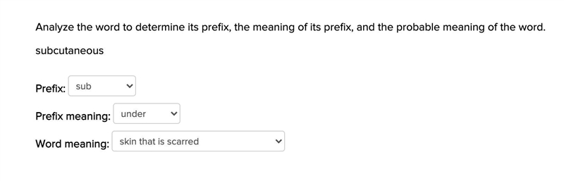 Analyze the word to determine its prefix, the meaning of its prefix, and the probable-example-1